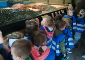 Dzieci obserwują krokodyle